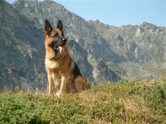 cnsas_fvg-328.jpg